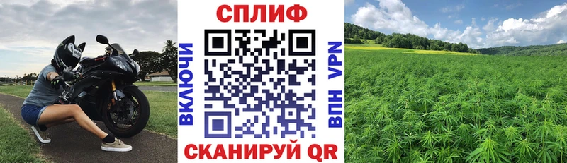 Бошки Шишки марихуана Волчанск